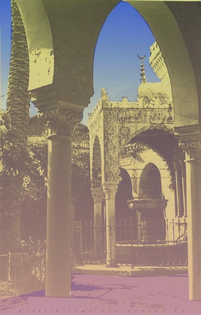 ORAN 02500.jpg